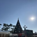 요고조고마켓