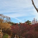 섬지관광농원 앞 이미지