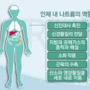 바디와이짐 이미지