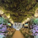 라온제나 | 라온제나 강남 웨딩홀 투어 후기(견적 공유)