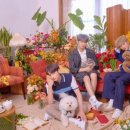 강아지와 고양이(Dog & Cat) 이미지