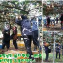 정종순농장 네이버블로그