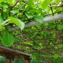 선달농장 이미지