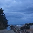 실비자연산횟집 이미지