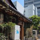 카페수달 | 서울 안국역 북촌 실내애견동반 가능한 한옥 카페 내돈내산 후기! [카페 수달]