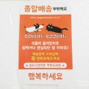 도기부기 이미지