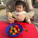 파크하비오 어린이집 | 2월 일상｜딸기 체험, 내 생일, 파크하비오