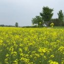 명성3호 이미지