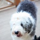 판문경로당 이미지