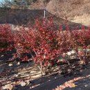 경담농장 이미지