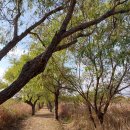 구포국수 이미지