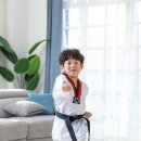 건강한태권도교육관 이미지