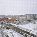 라야보세올네이션 | 임신 13주차 1차 기형아 검사 결과 및 태교활동 일상 (2월 갈무리)
