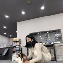 독크루 첨단점 이미지