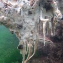 남해-308 이미지