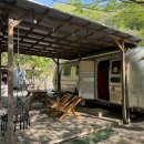 캠프오후4시 이미지