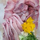 풍성한회나라 이미지