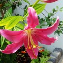 산수유자연휴양림 이미지