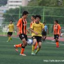 용인(강릉) 이미지