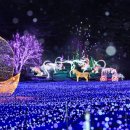 모나캠핑파크 대청마루 이미지