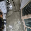 죽전로238번길 이미지