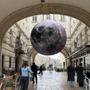 콜리네분식 | [동유럽] 낮에는 부다페스트, 밤에는 비엔나 / 유럽기차로 국경넘기