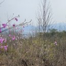 춘산 - 중구 | 춘산