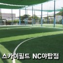 스카이필드 야탑점