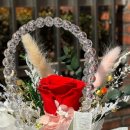 옥천초정문1 이미지