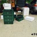 병수농장 이미지