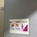 [여의도] 여의도 술집 여의도 맛집 육회관포차 여의도 솔직후기