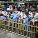 남원중앙초등학교 이미지