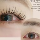 더샤샤 네이버블로그