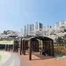 상현근린공원 이미지