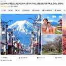 표샘국어 | 근교 여행, 마이리얼트립 후지산 버스투어 솔직 후기 및 당일치기 코스 공유 -[전'남친과 도쿄 4박 5일...