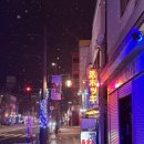 호텔 다다-인사 | 12월 중순 하코다테 혼자여행 후기 (1)