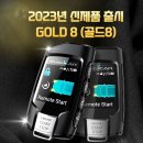 골드효진