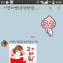 대연테라토피아 - 부평구 십정동 | 대연테라토피아