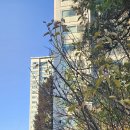 서래초등학교 이미지