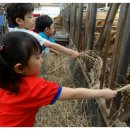 정우목장 이미지