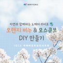 천연비누+아로마 생활용품 만들기 | [공지] IQCS 국제아로마상담사과정 ㅣ 자연과 함께...노케미 라이프 🌎 오렌지 비누 &amp; 모스큐브 DIY 만들기🌿