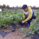 늘푸른농장 이미지