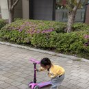 아우토반키즈카마이크킥보드 | 마이크로킥보드vs스쿳앤라이드 비교･아우토반키즈카･미니 폴더블 디럭스 LED 구입 후기