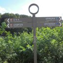 그린라이프약국 이미지