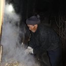 여물소 - 노원구 | 여물소