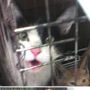 강남25동물병원 이미지