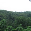 청구아파트삼거리 이미지