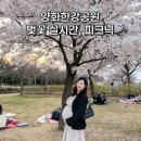 성산대교남단 | 양화한강공원 벚꽃 실시간 텐트 피크닉 한강 데이트 추천