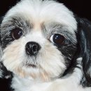 말번식센터 2층 이미지