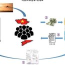 국적취득 베트남여성이 불법입국 전문 알선해 이미지